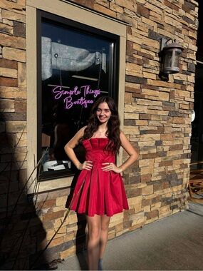 Lalavon Wine Pleaded Fit and Flare Dress